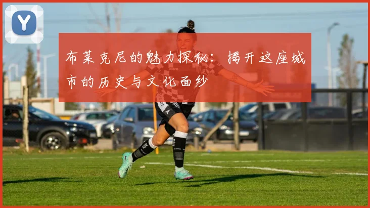 布莱克尼的魅力探秘：揭开这座城市的历史与文化面纱