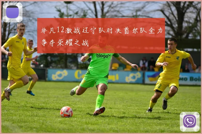非凡12激战辽宁队对决首尔队全力争夺荣耀之战
