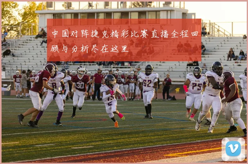 中国对阵捷克精彩比赛直播全程回顾与分析尽在这里