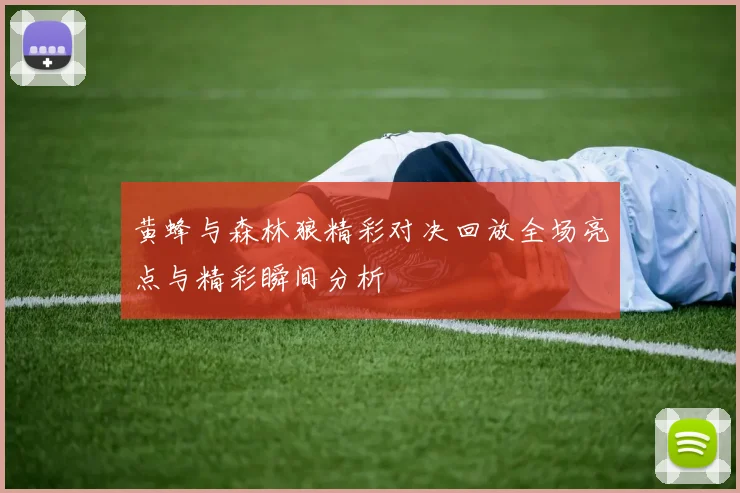 黄蜂与森林狼精彩对决回放全场亮点与精彩瞬间分析